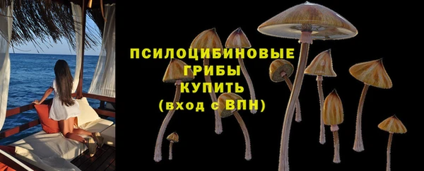 хмурый Вязьма
