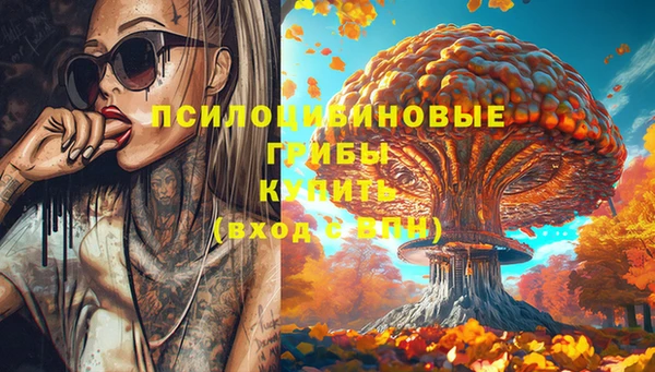mix Вяземский
