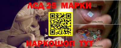 амф Кандалакша