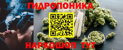 ешки Канаш