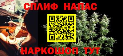 амф Кандалакша