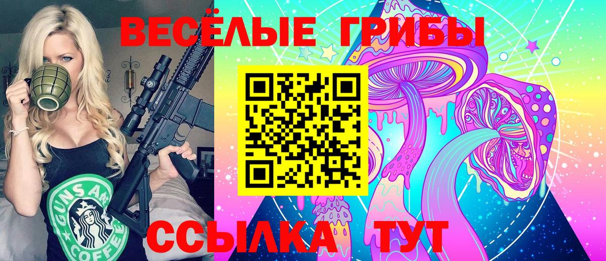 Медногорск  Галлюциногенные грибы Magic Shrooms  Псилоцибиновые грибы Magic Shrooms  Вход с VPN 