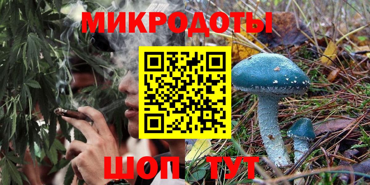 Псилоцибиновые грибы Psilocybe Медногорск